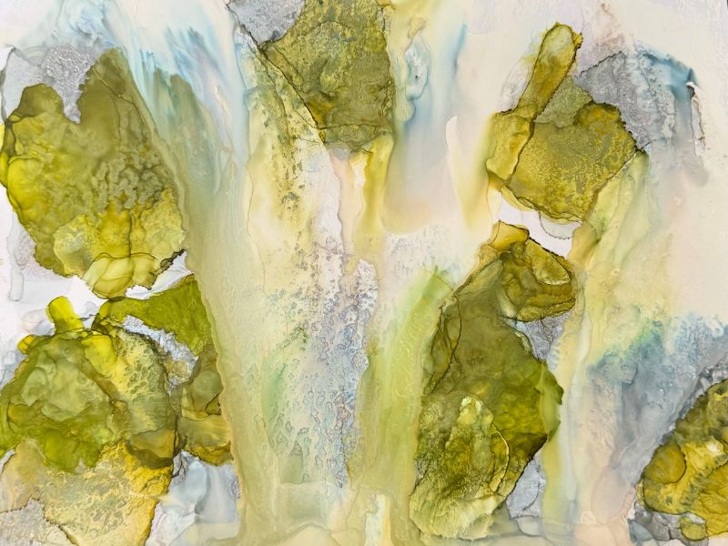 Écho de la nature B