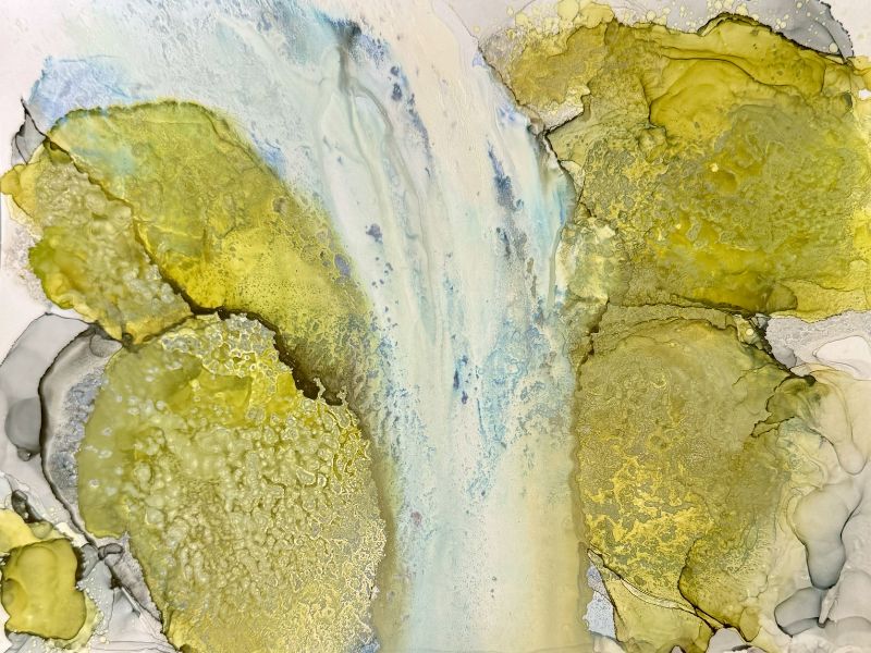 Écho de la nature C