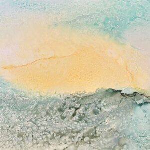 Écho de la nature E