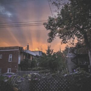 Rayon de gratitude A