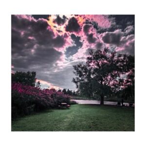 Rayon de gratitude C